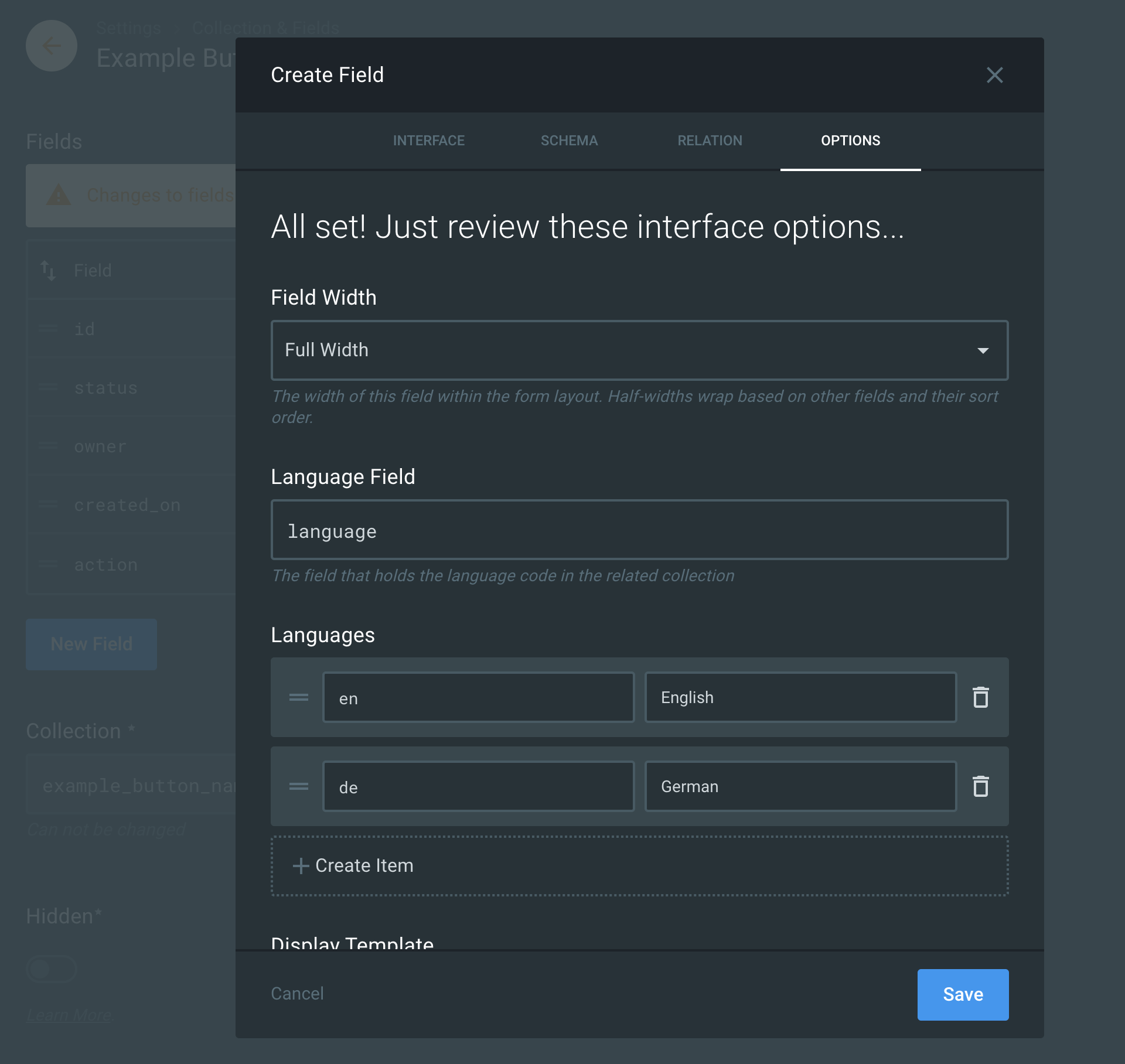 Create field form options tab screenshot