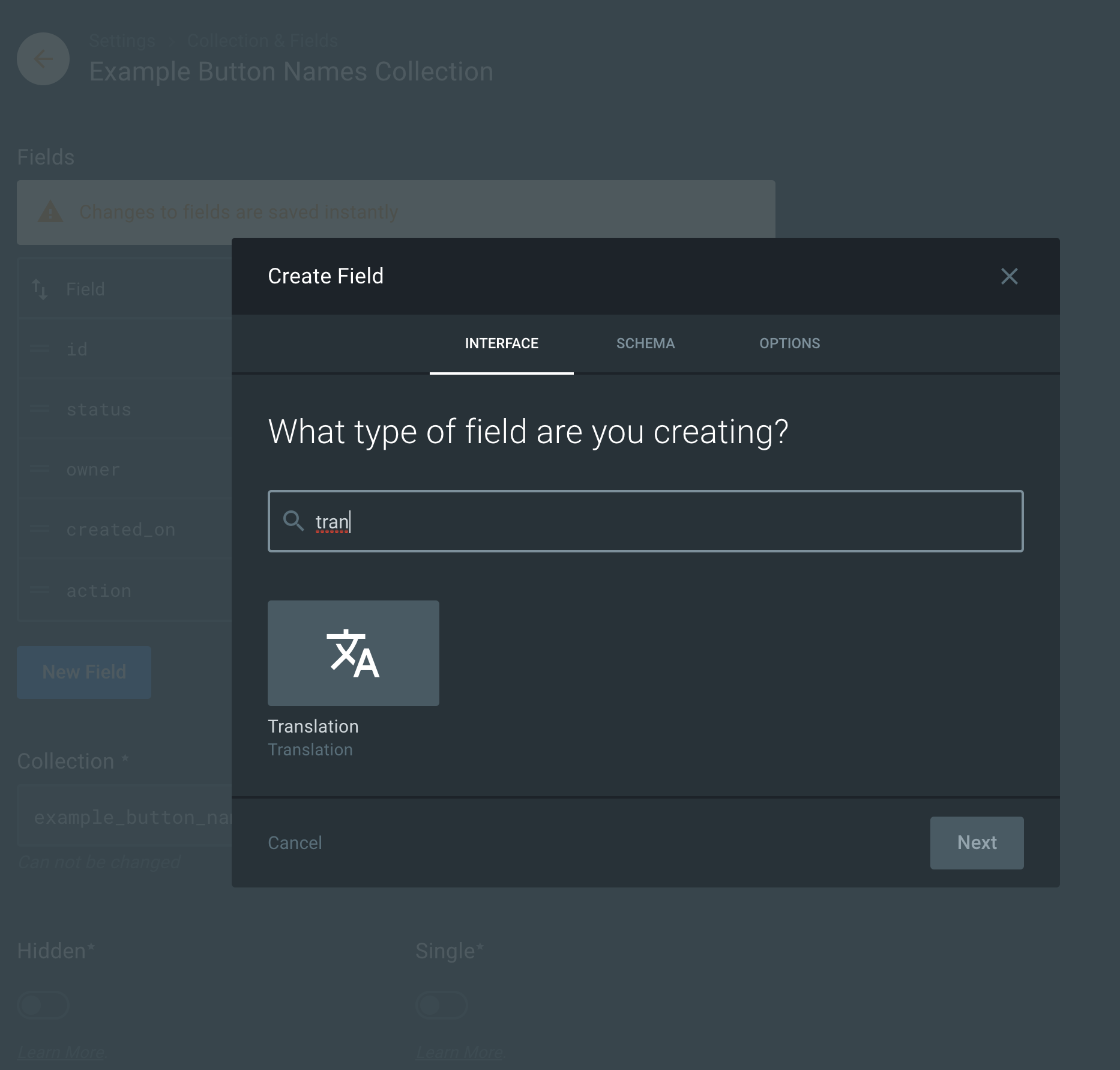 Create field form interface tab screenshot
