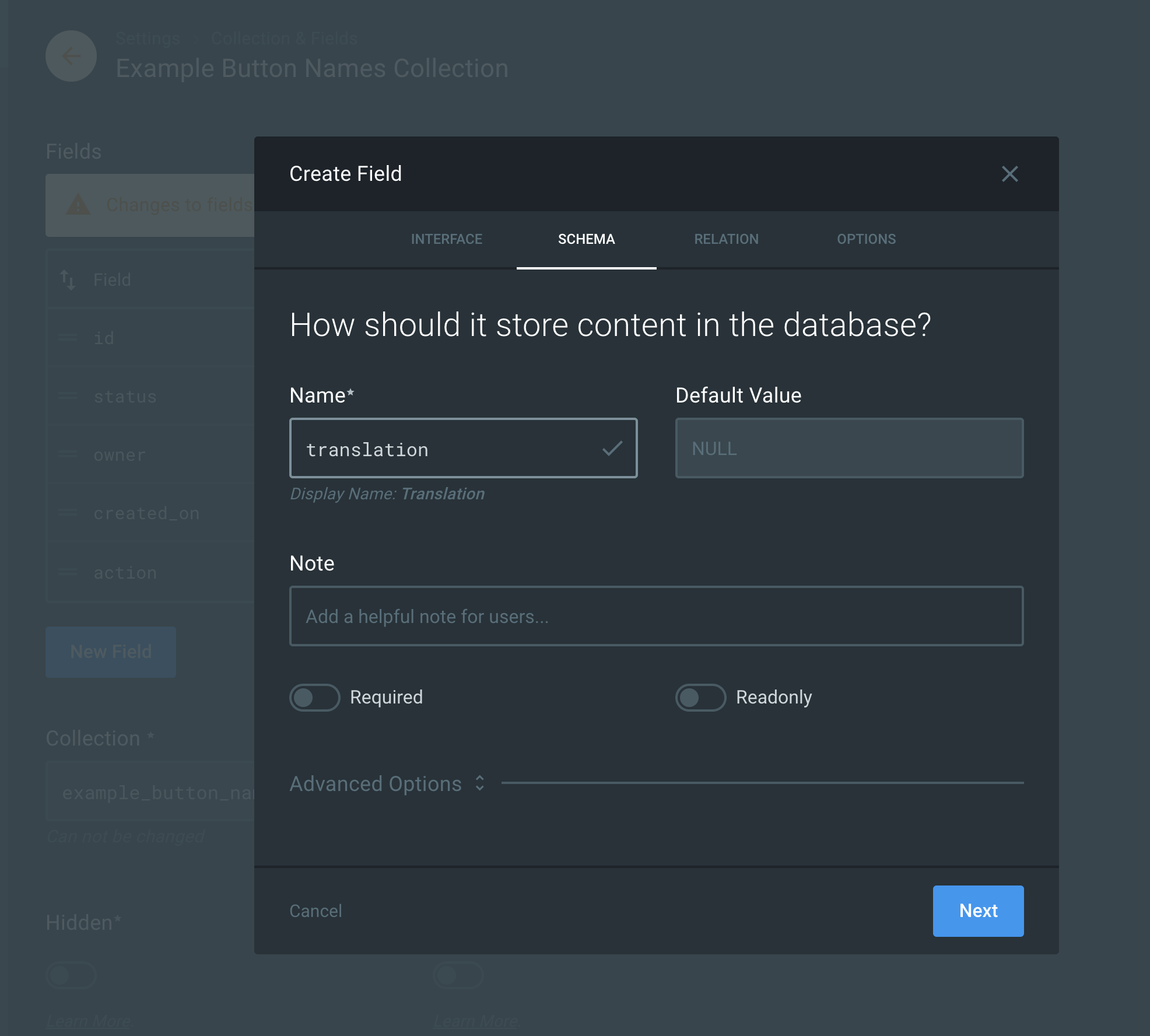tCreate field form schema tab screenshot
