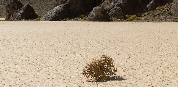 A desert
