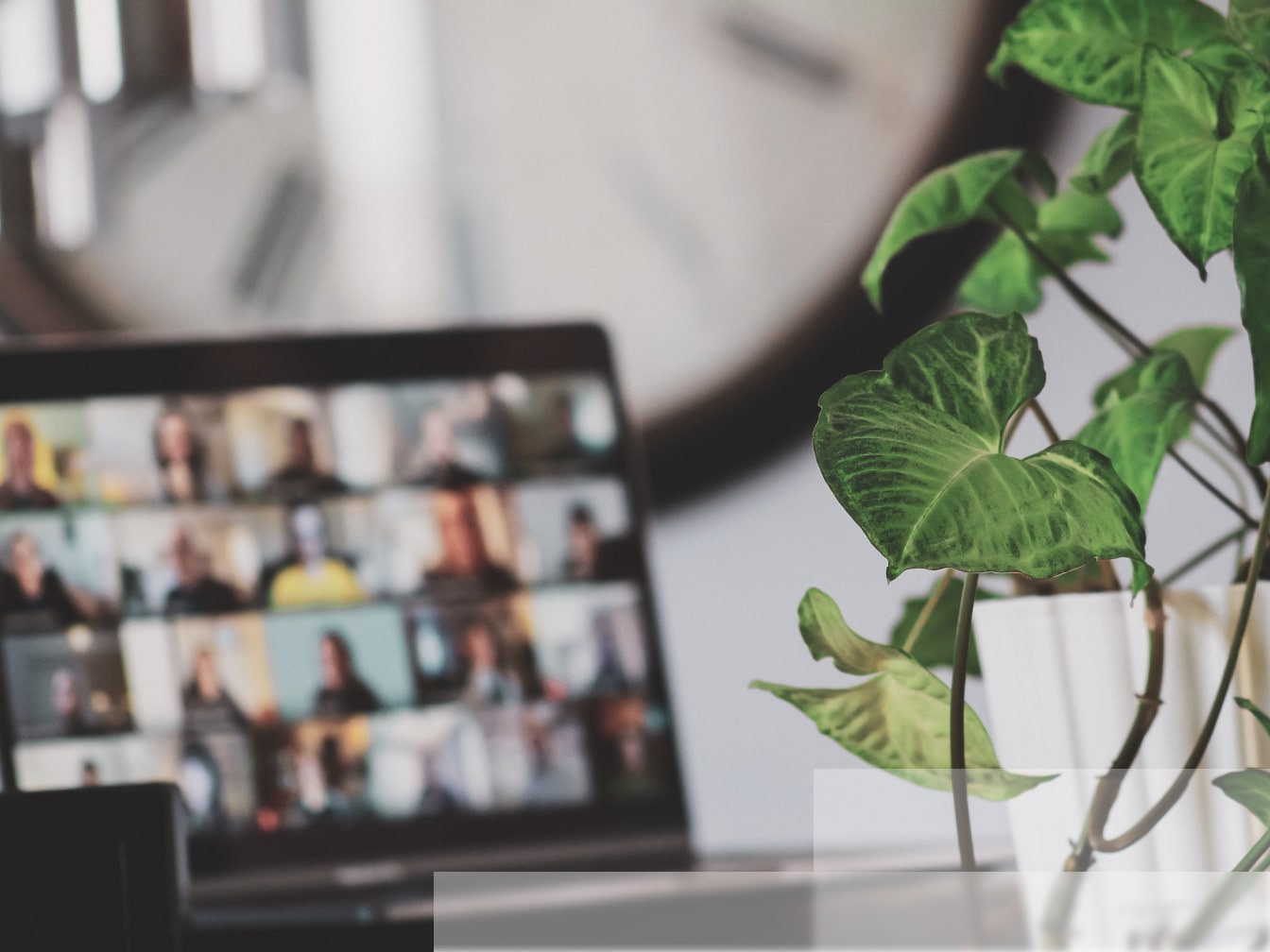 a laptop computer sitting on top of a desk next to a plant.